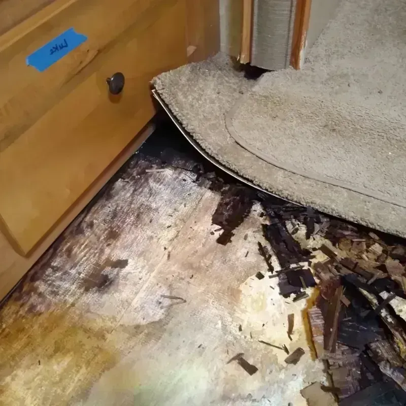 Best Wood Floor Water Damage Service in Kenmore, WA